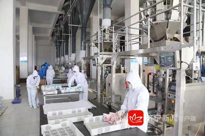 2019年濟寧市新舊動能轉換現場觀摩團走進嘉祥